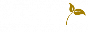 deseo tapas bar – Eppendorf & HafenCity